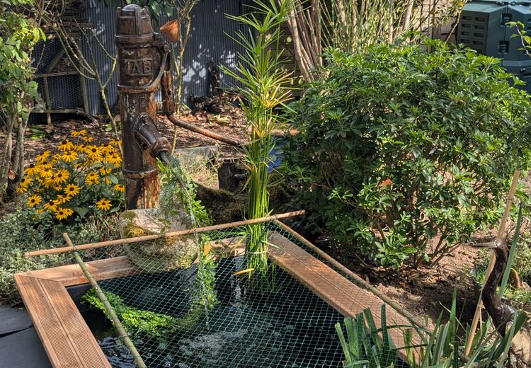 Des photos de la maison de Carole