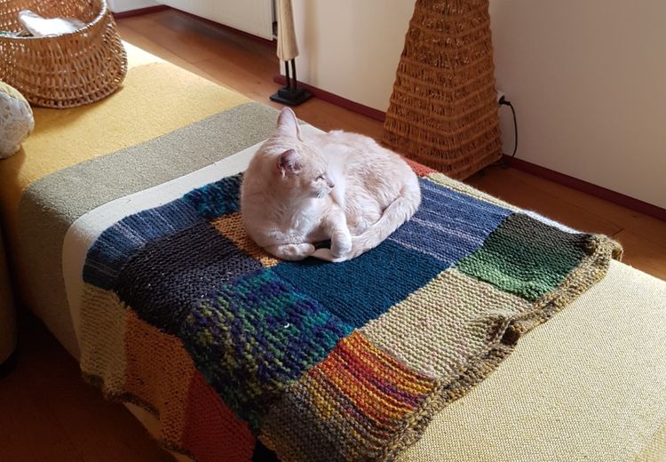 Des photos de la maison de ANNE ET PHILIPPE