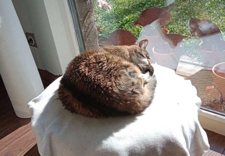 Des photos de la maison de Corinne