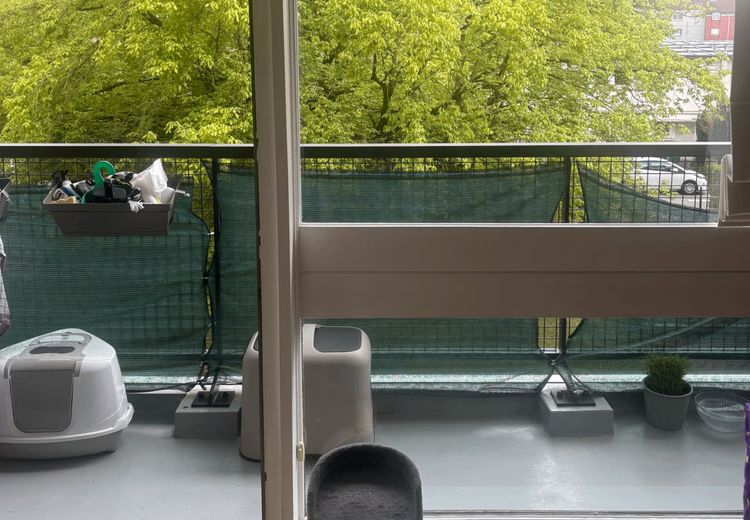 Pictures of Marie T.'s house