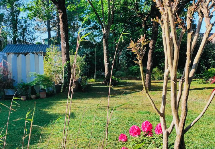 Pictures of Carole's house
