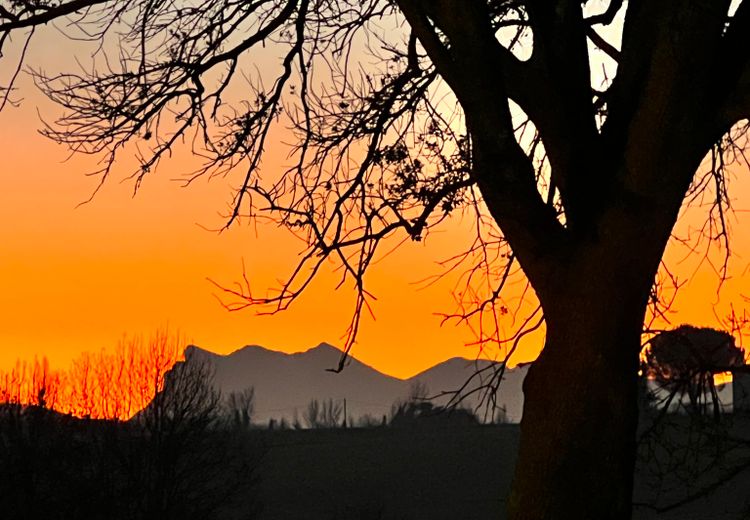 Fotos von Marlene G. Haus