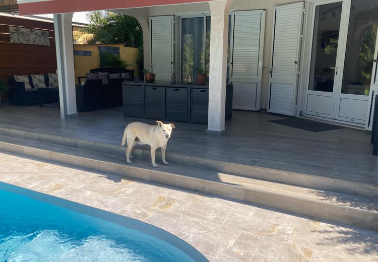 Pictures of Christian's house