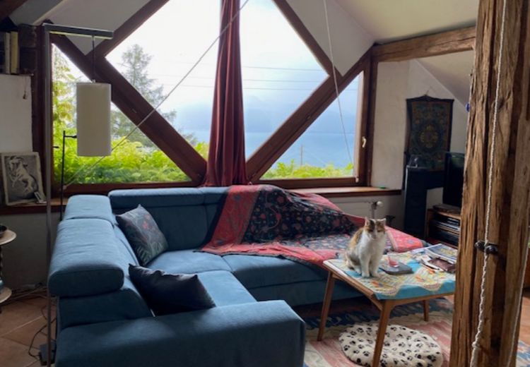 Pictures of anne k.'s house