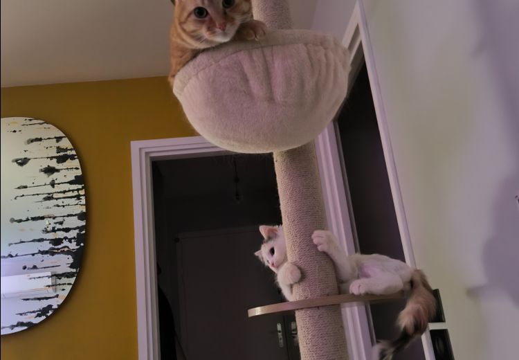 Pictures of Emma's house