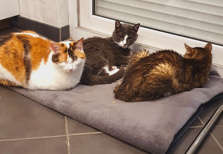 Des photos de la maison de Carine