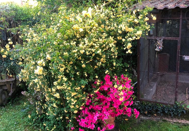 Des photos de la maison de Paquita