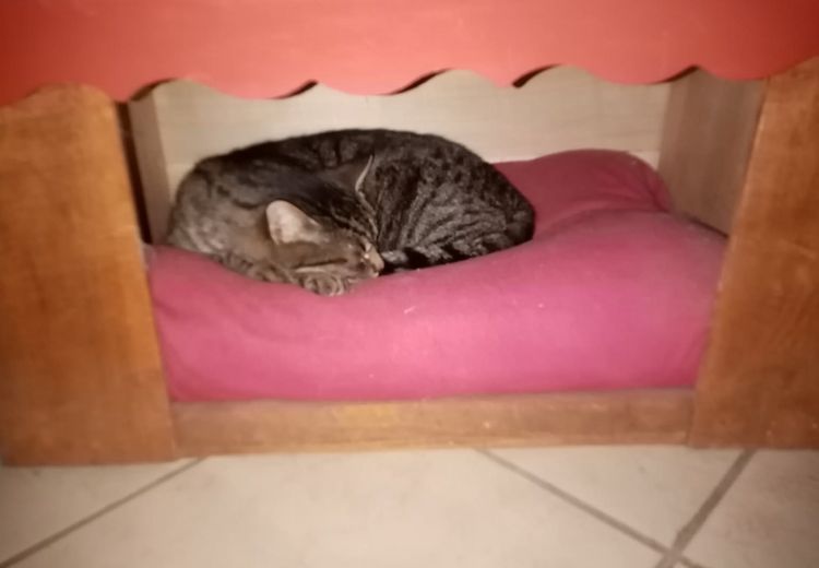 Pictures of claude K.'s house
