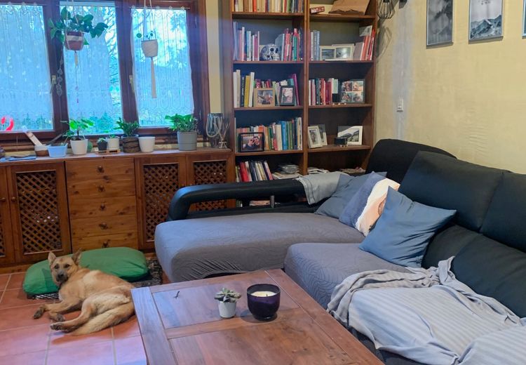 Pictures of Daria B.'s house