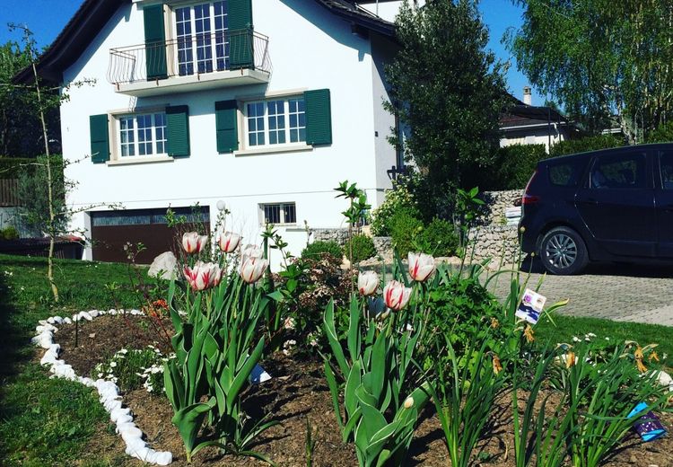 Des photos de la maison de Leonie B.