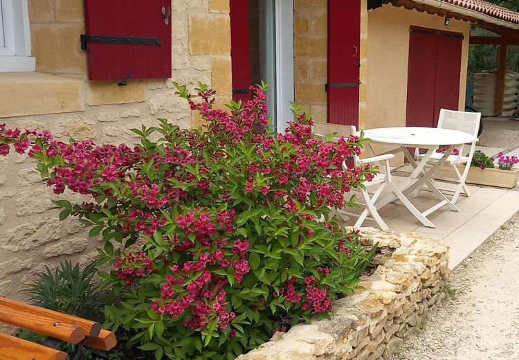 Pictures of Fabienne M.'s house