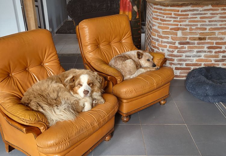 Des photos de la maison de Jean-francois F.