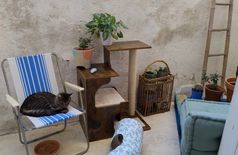 House with 2 cats in Marseille
