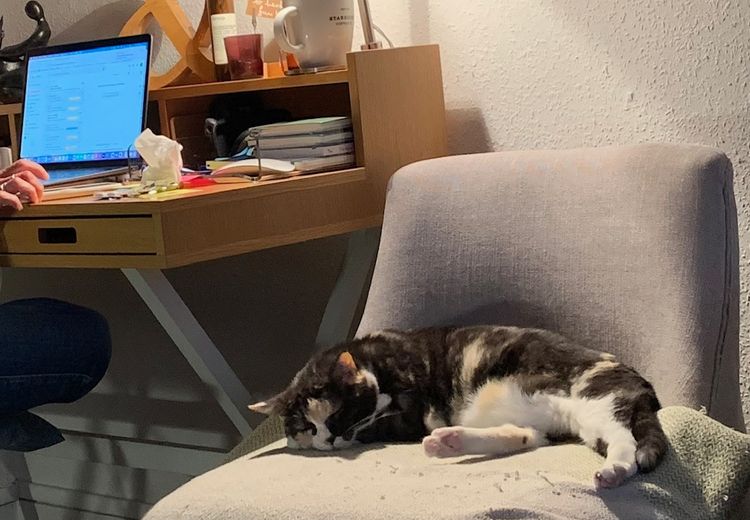 Pictures of Virginie & Fred's house