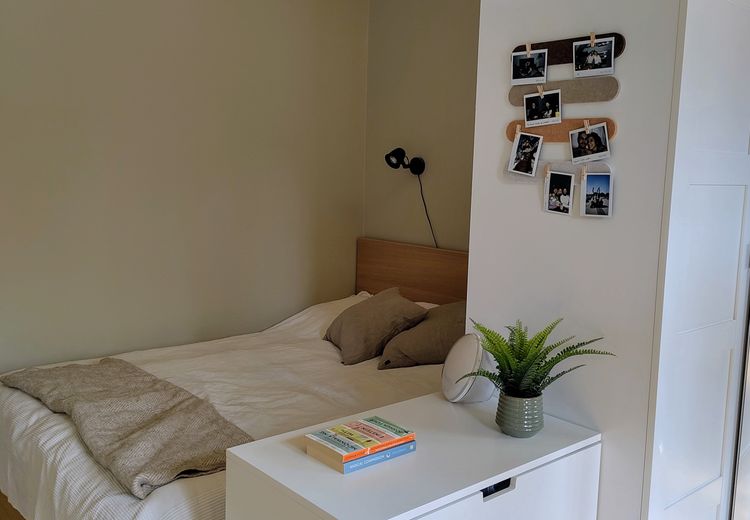Pictures of Alba's house