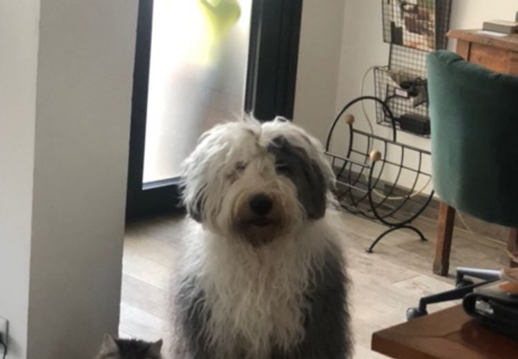 Des photos de la maison de Emmanuelle et Clément C.