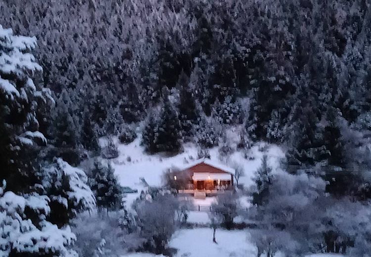 Pictures of Nicole's house