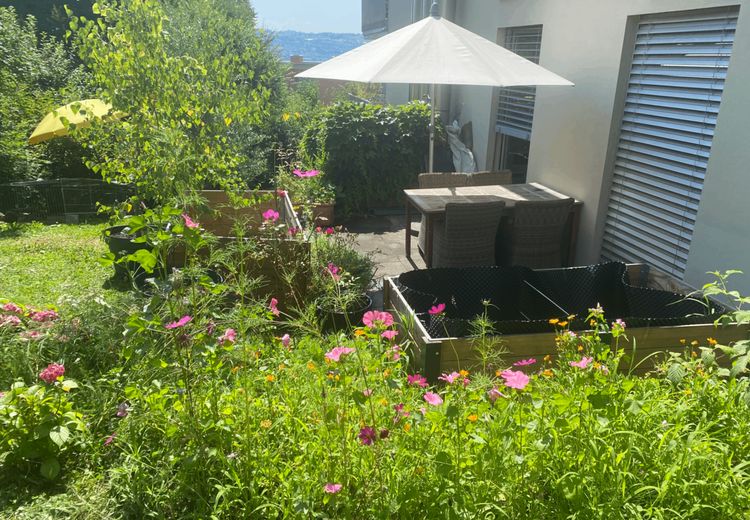 Pictures of Rachel S.'s house