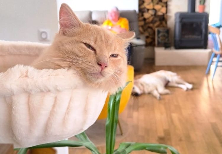 Des photos de la maison de Laeti et Greg
