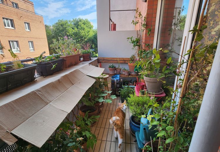 Pictures of Candice's house