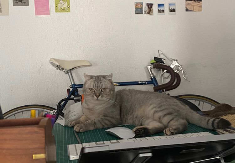 Des photos de la maison de Gabriela S.