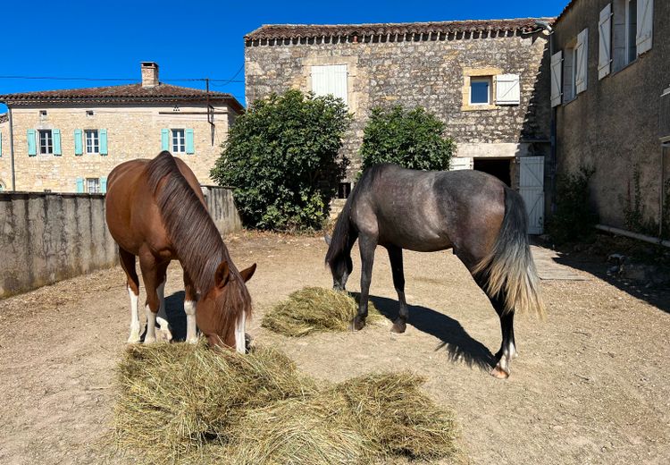 Des photos de la maison de Emma