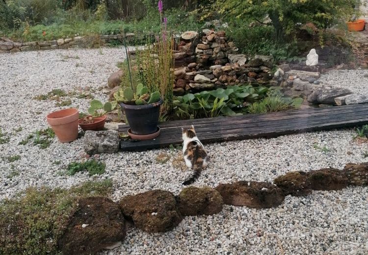 Pictures of LOIC et ISABELLE's house
