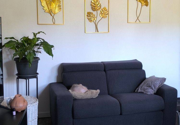 Pictures of Vanessa's house