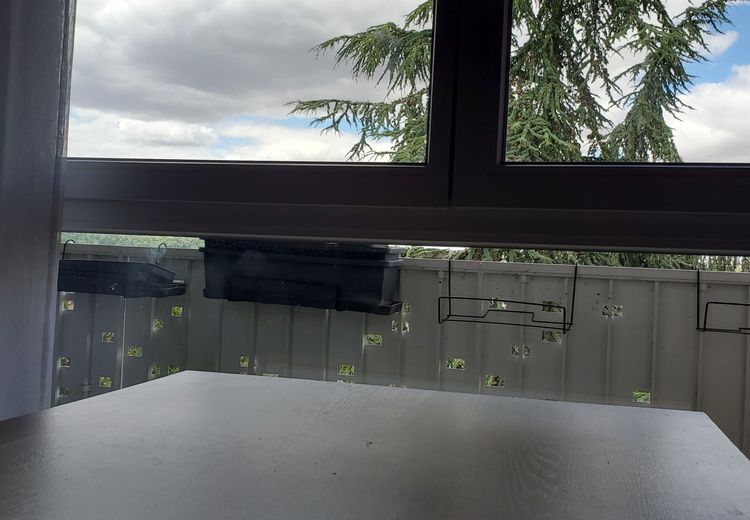 Pictures of Radija A.'s house