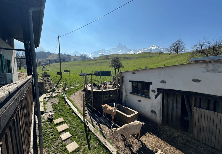 Fotos von Teshua F. Haus