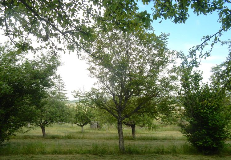 Des photos de la maison de Bernaud H.