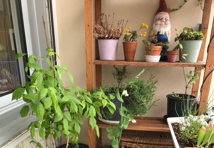 Des photos de la maison de Anouk