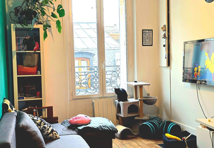 Pictures of Lara's house