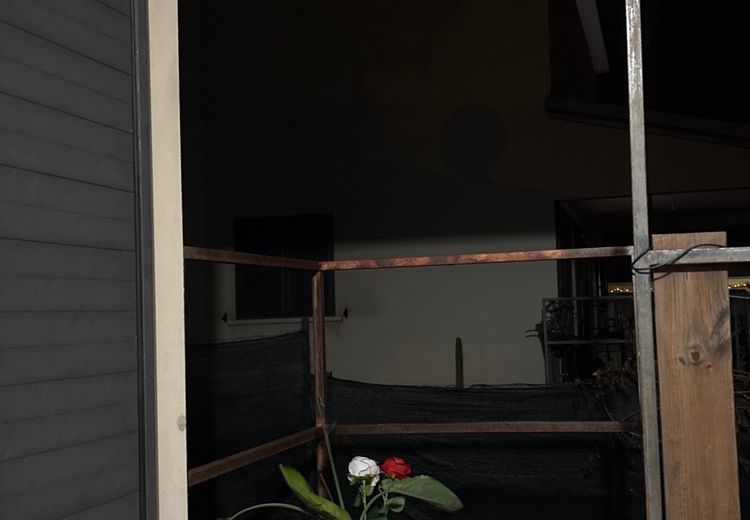 Pictures of Perrine's house