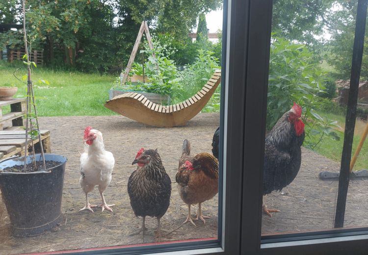 Pictures of Anita P.'s house