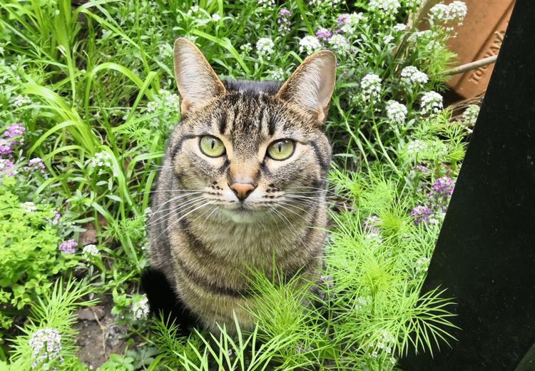 Des photos de la maison de Faustine C.