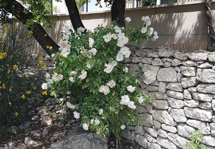 Pictures of Andrea O.'s house
