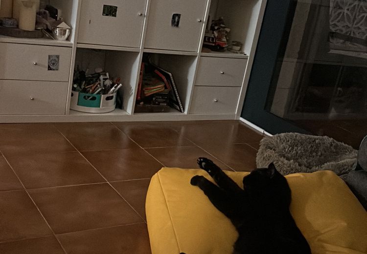 Des photos de la maison de Alejandro