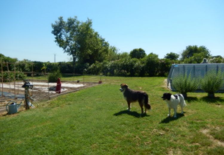 Des photos de la maison de Patrice A.