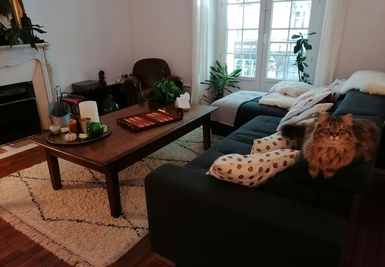 Pictures of Guillaume's house