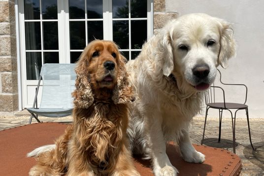 International house-sitting community Nomador