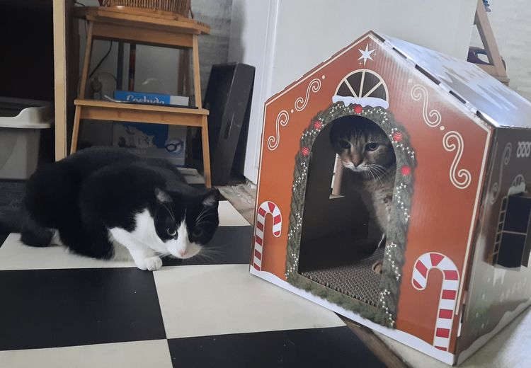 Des photos de la maison de Christine V.