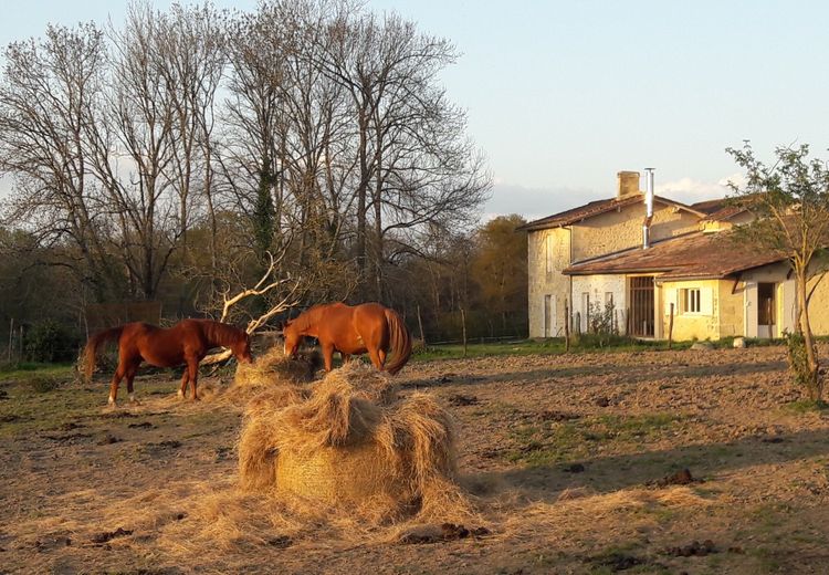 Des photos de la maison de Noëlle B.