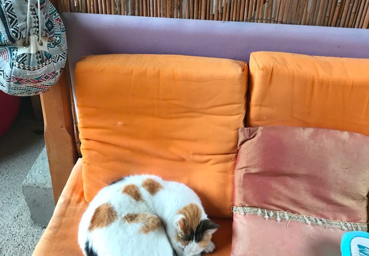 Des photos de la maison de Mireille G.