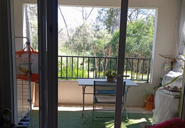 Pictures of Lucky's house