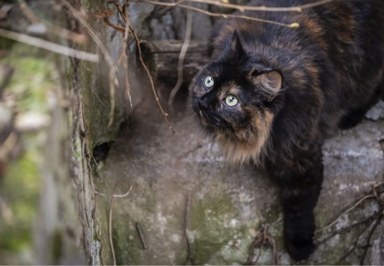 Fotos von Emmanuelle B. Haus