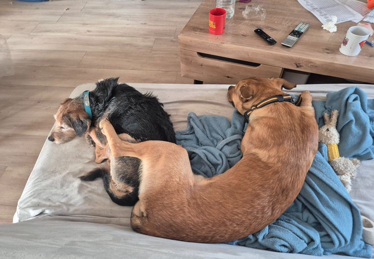 Des photos de la maison de Wendy