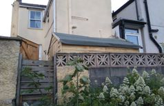 House with 1 cat in Bangor