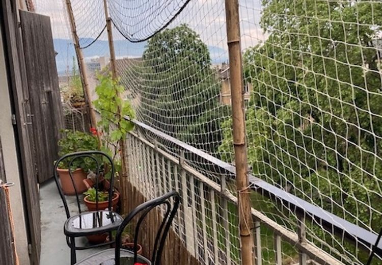 Pictures of Dominique R.'s house