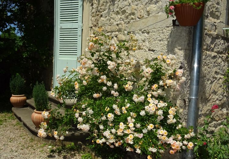 Des photos de la maison de Quorde